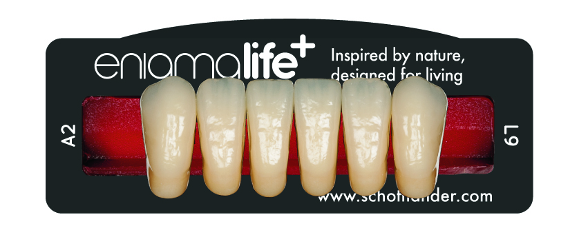 EnigmaLife+ Tandenset onder A1-L9