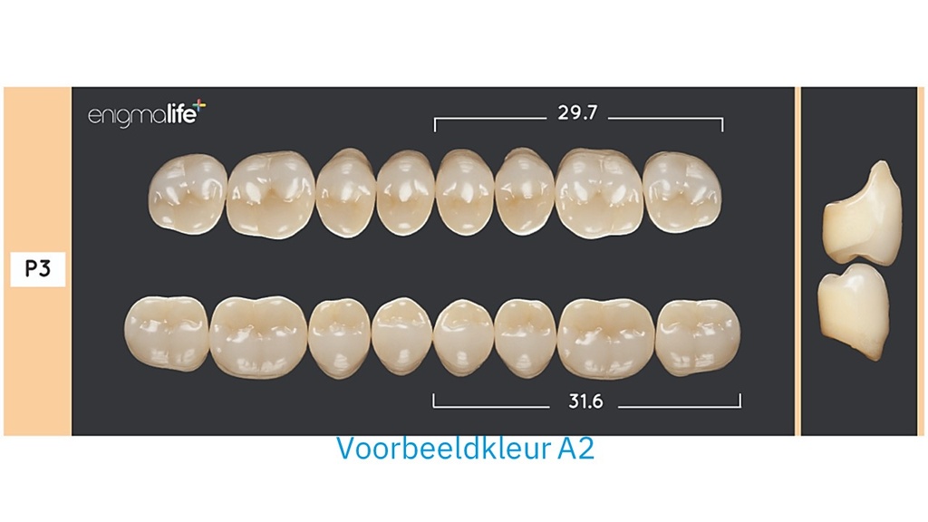 EnigmaLife+ Kiezenset A1-P3-