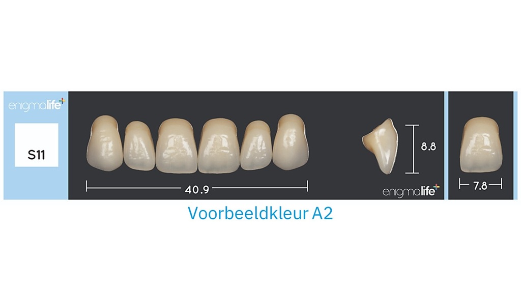 EnigmaLife+ Tandenset boven A1-S11