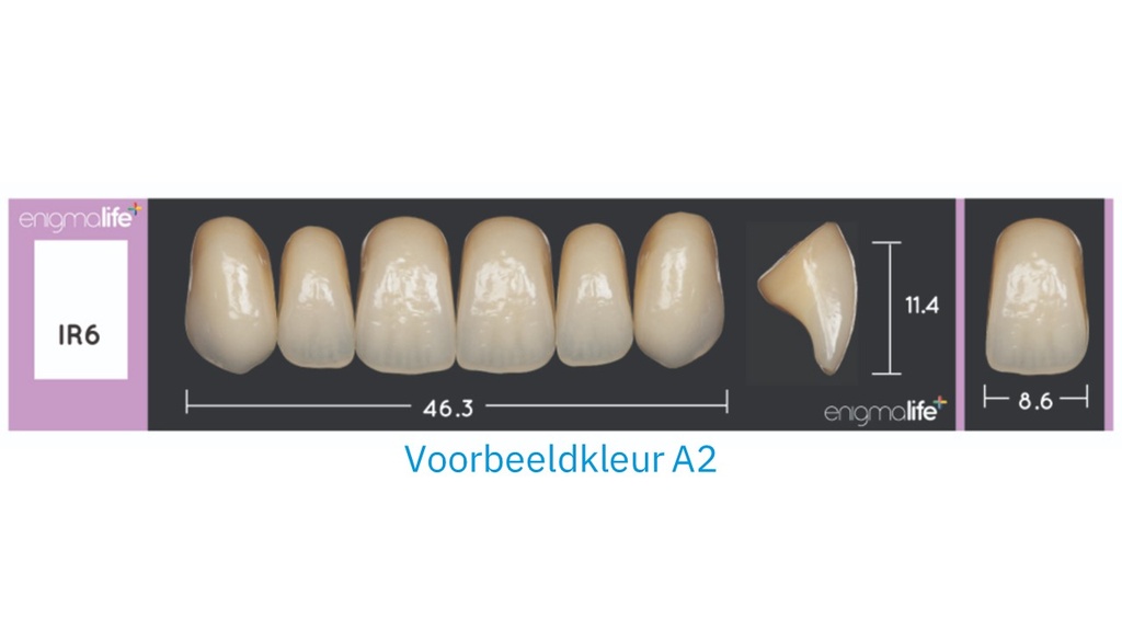 EnigmaLife+ Tandenset boven A2-IR6