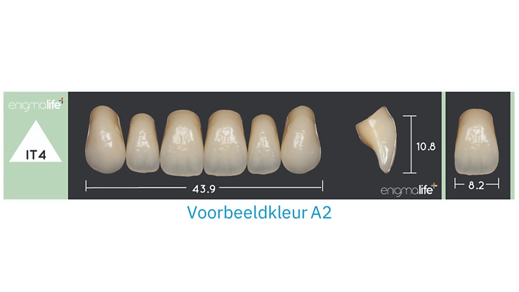 EnigmaLife+ Tandenset boven A2-IT4