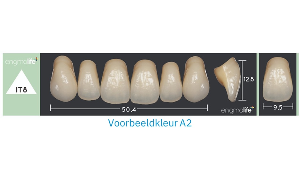 EnigmaLife+ Tandenset boven A2-IT8