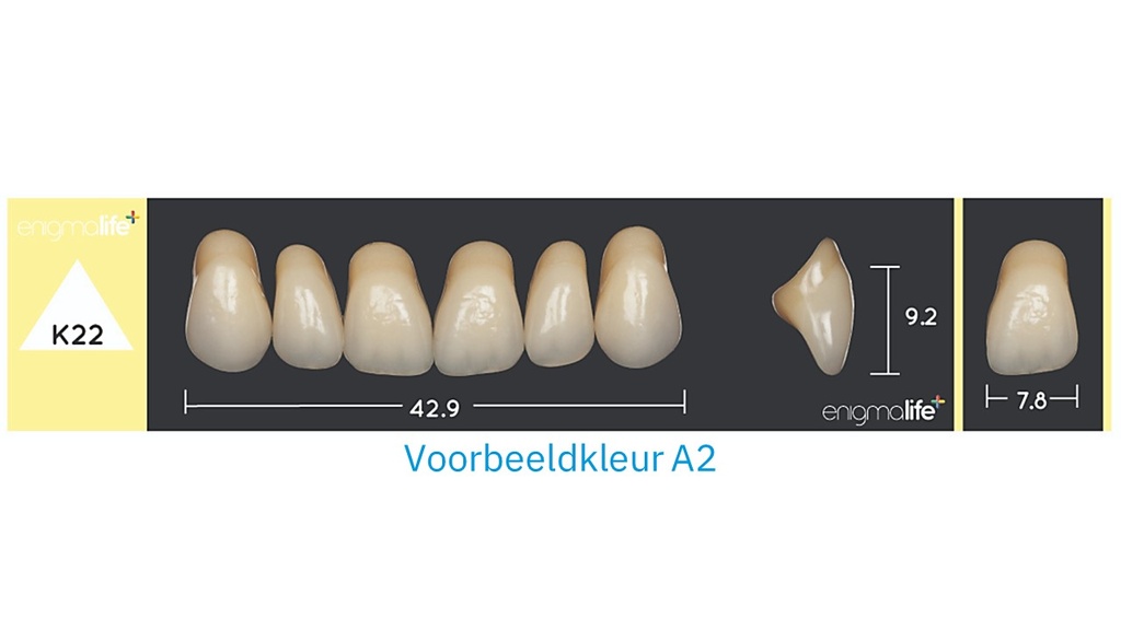 EnigmaLife+ Tandenset boven A2-K22