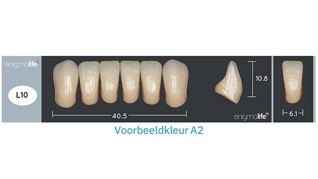 EnigmaLife+ Tandenset onder A2-L10
