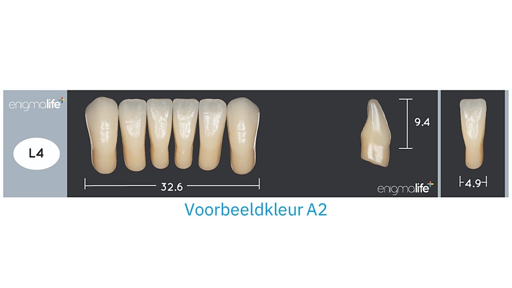 EnigmaLife+ Tandenset onder A2-L4