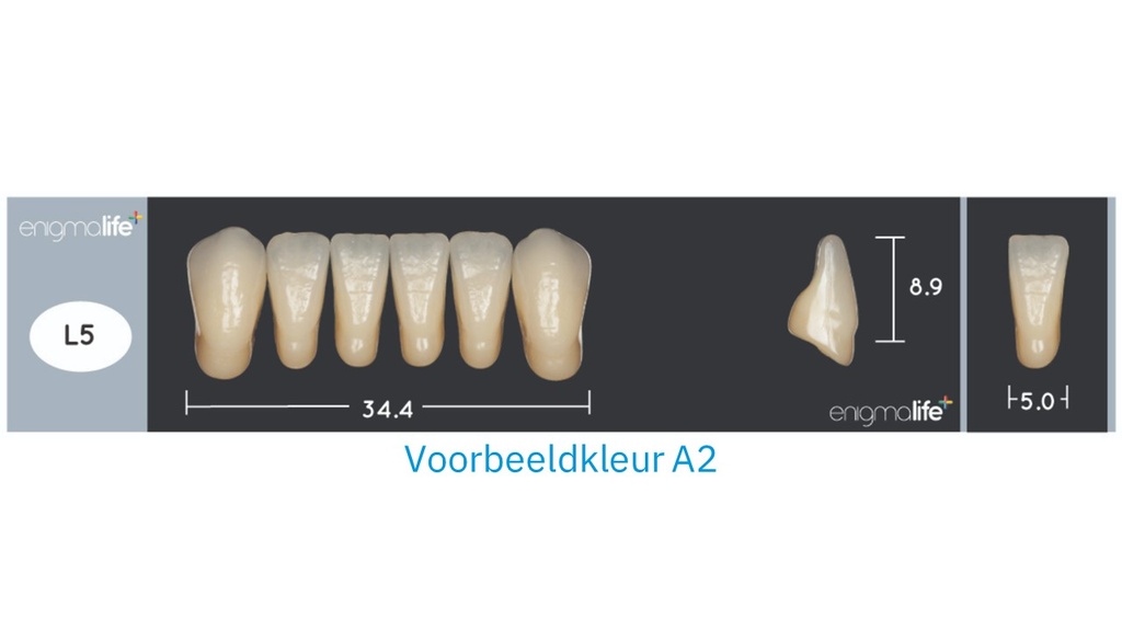 EnigmaLife+ Tandenset A2-L5