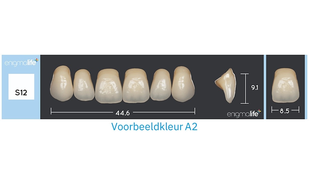 EnigmaLife+ Tandenset A2-S12
