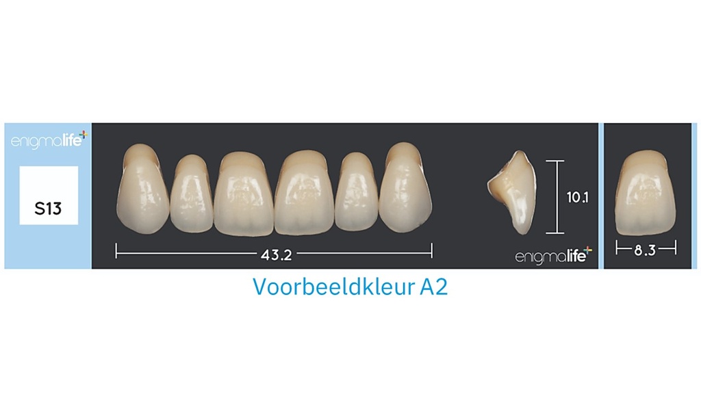 EnigmaLife+ Tandenset boven A2-S13