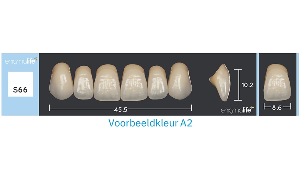 EnigmaLife+ Tandenset A2-S66