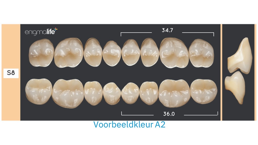 EnigmaLife+ Kiezenset A2-S8-