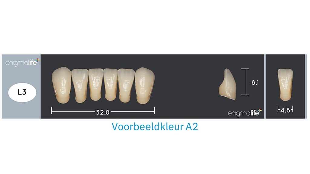 EnigmaLife+ Tandenset onder A3,5-L3