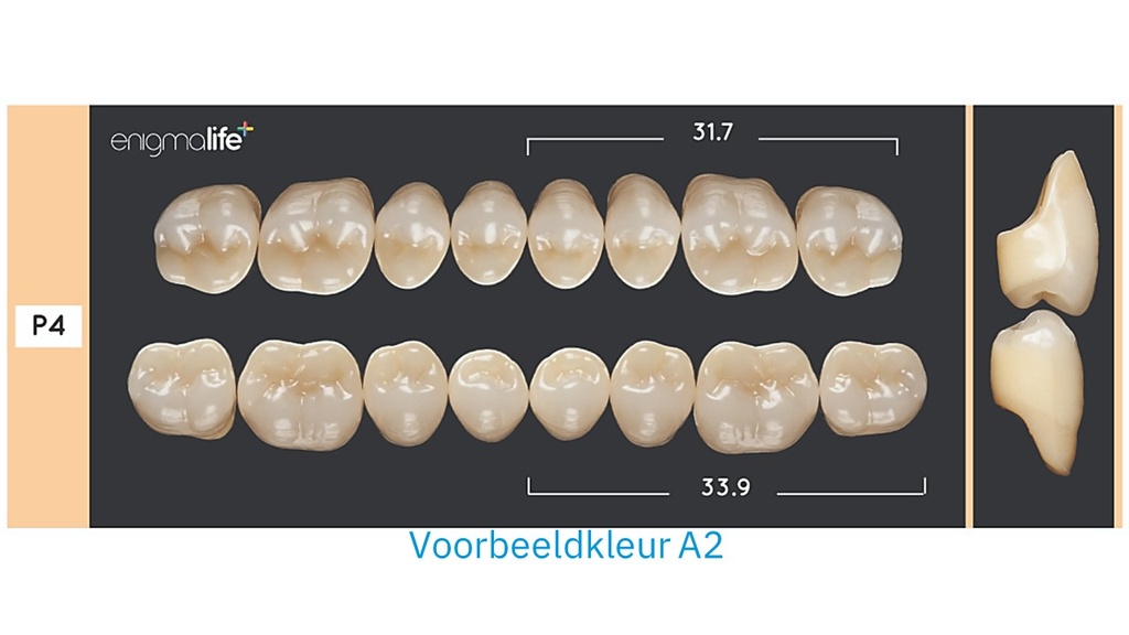 EnigmaLife+ Kiezenset onder A3,5-P4-