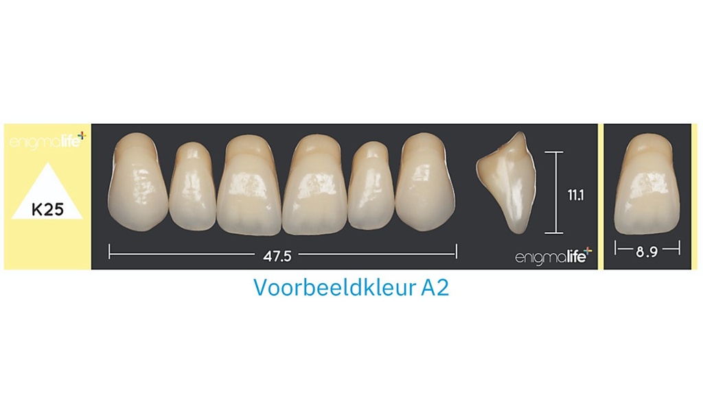 EnigmaLife+ Tandenset boven A3-K25
