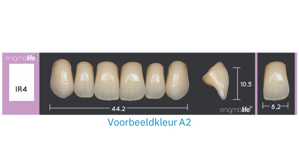 EnigmaLife+ Tandenset boven A4-IR4