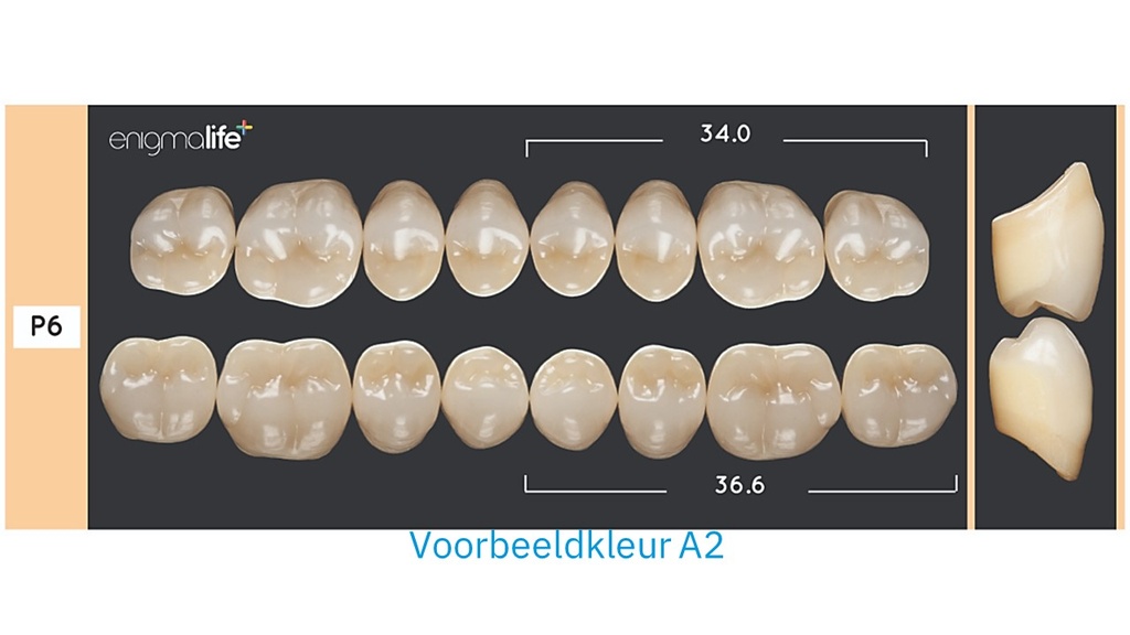 EnigmaLife+ Kiezenset A4-P6+