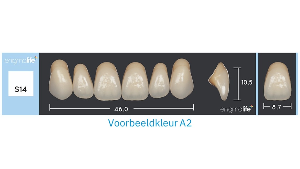 EnigmaLife+ Tandenset boven A4-S14