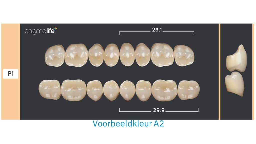 EnigmaLife+ Kiezenset B1-P1+