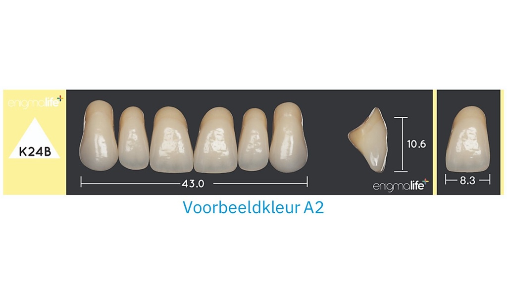 EnigmaLife+ Tandenset boven B2-K24B