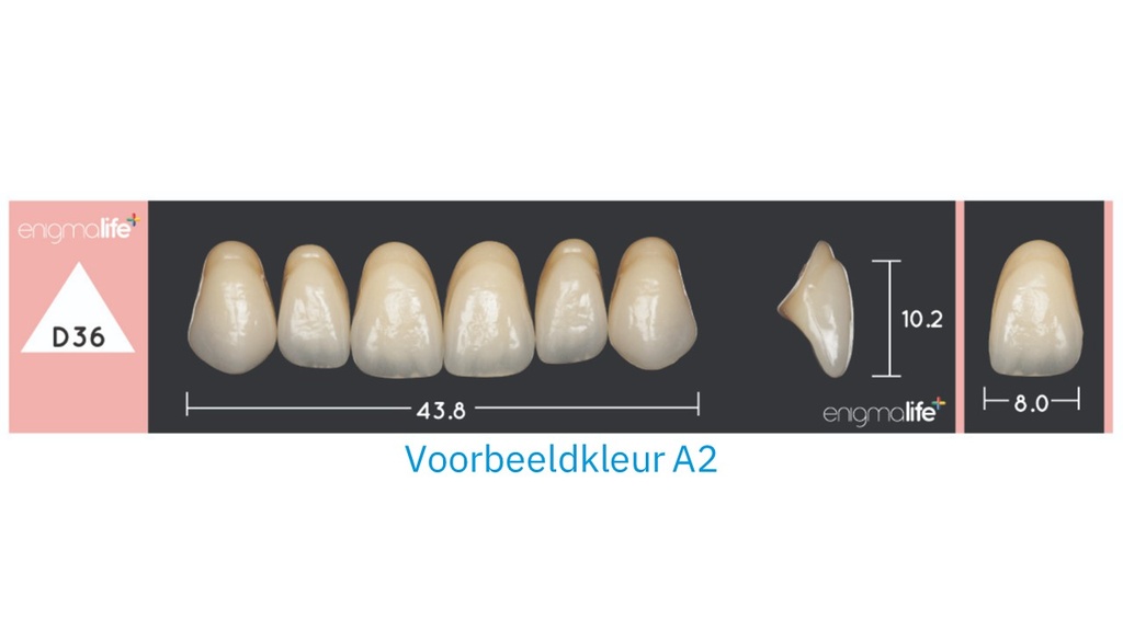 EnigmaLife+ Tandenset boven B4-D36