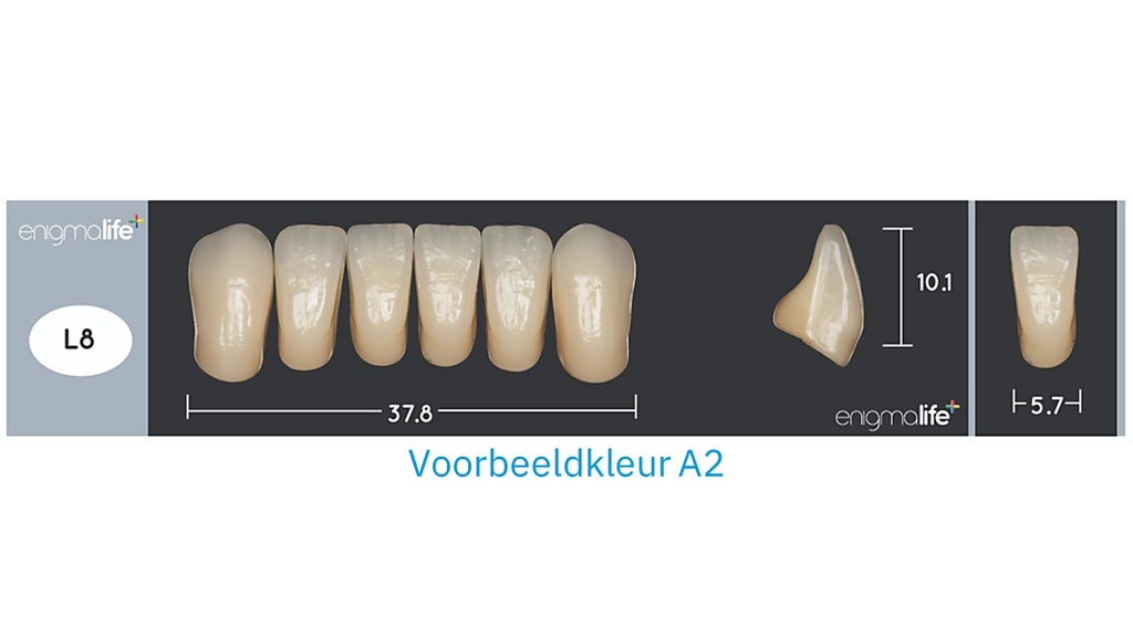 EnigmaLife+ Tandenset B4-L8