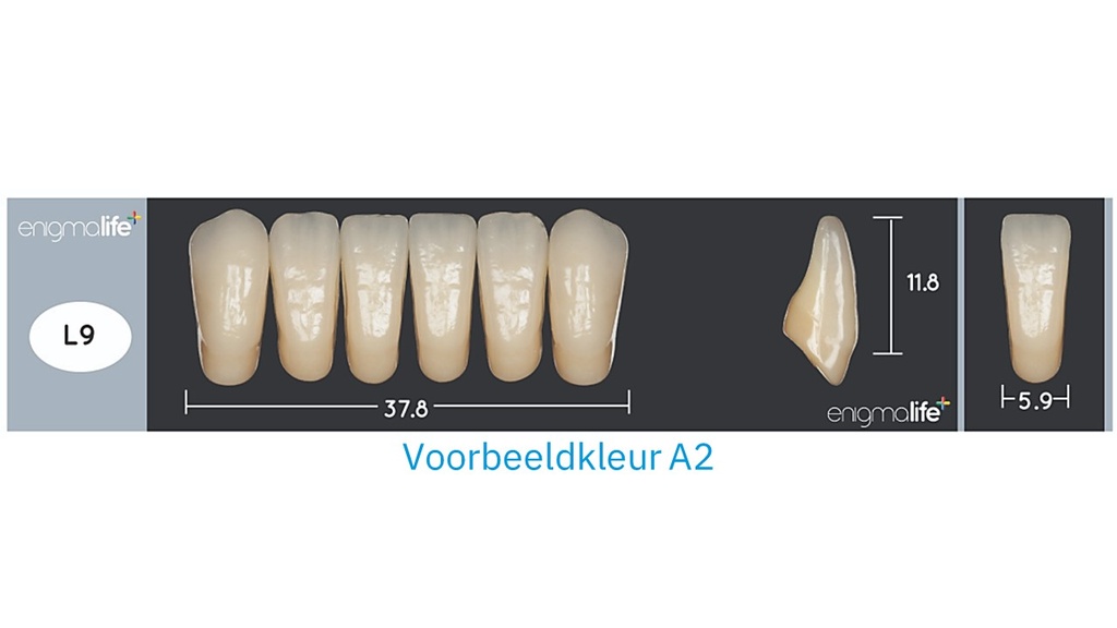 EnigmaLife+ Tandenset onder BL2-L9