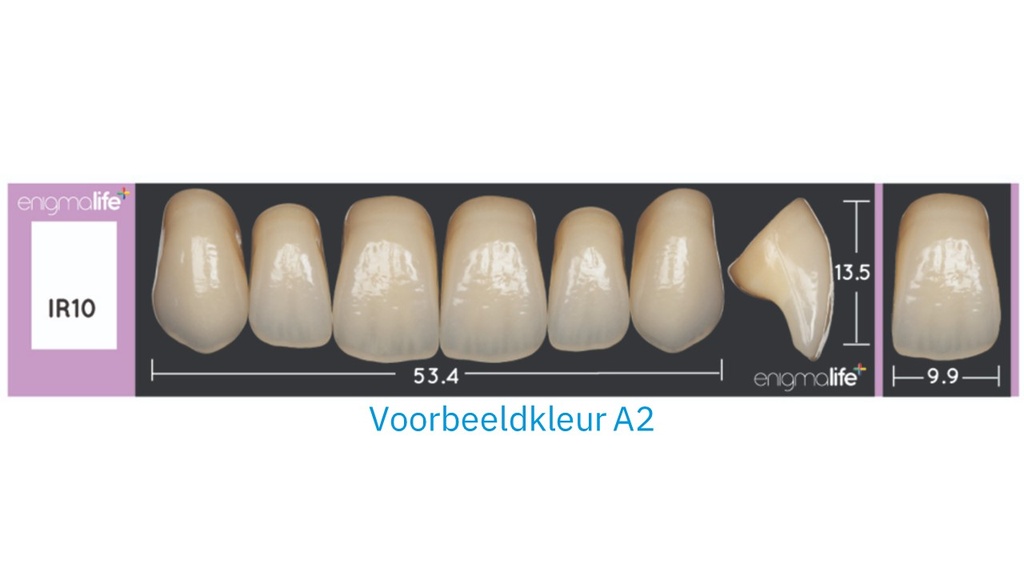 EnigmaLife+ Tandenset boven C4-IR10