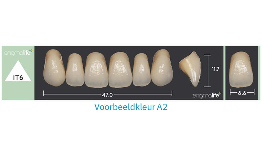 EnigmaLife+ Tandenset D2-IT6