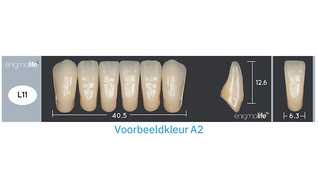 EnigmaLife+ Tandenset onder D2-L11