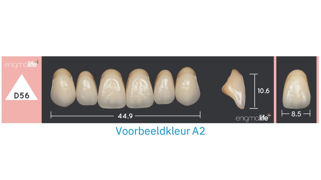 EnigmaLife+ Tandenset boven D3-D56