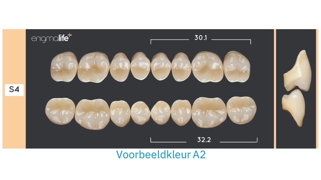 EnigmaLife+ Kiezenset D3-S4+