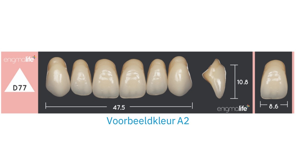 EnigmaLife+ Tandenset boven D4-D77