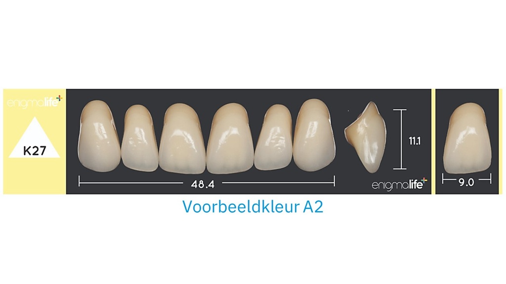 EnigmaLife+ Tandenset boven D4-K27