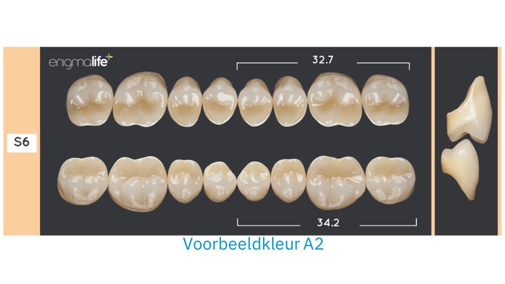 EnigmaLife+ Kiezenset D4-S6-