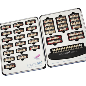 EnigmaLife+ Chairside Assortment