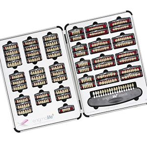 EnigmaLife+ Representative Case