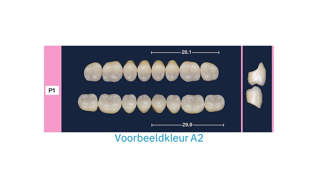 4natur Kiezenset boven A2-P1+