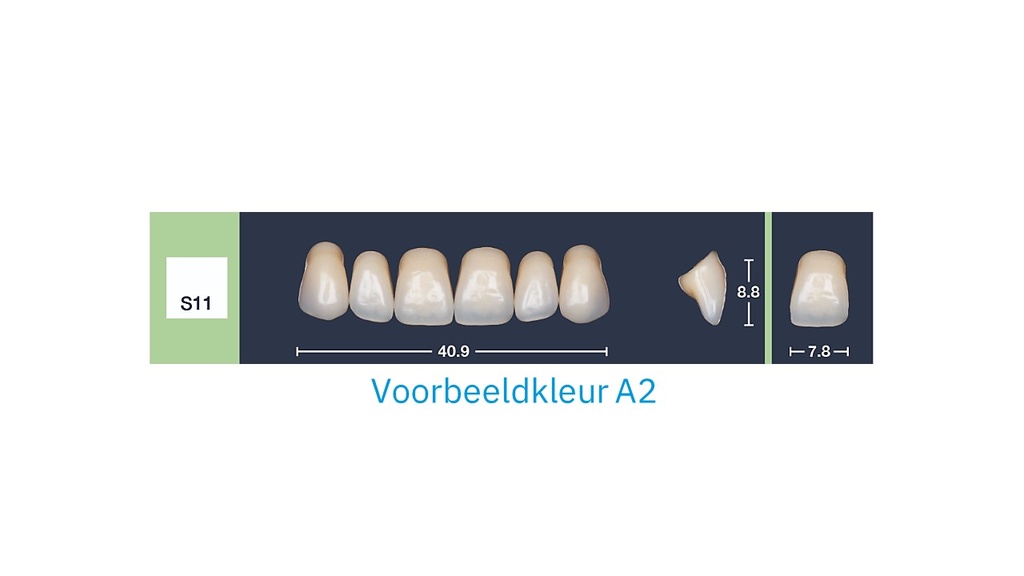 4natur Tandenset boven A2-S11