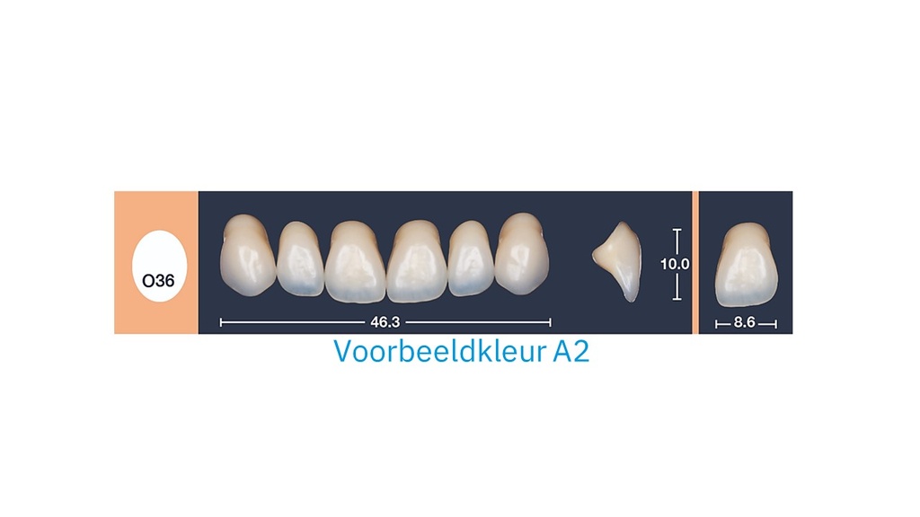 4natur Tandenset boven A3-O36