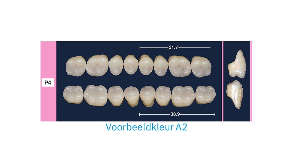 4natur Kiezenset onder B2-P4-