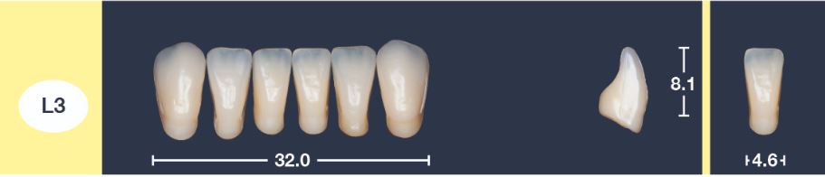 4natur Tandenset BL3-L3