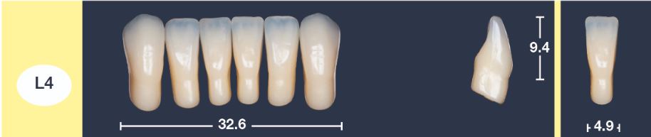 4natur Tandenset BL3-L4