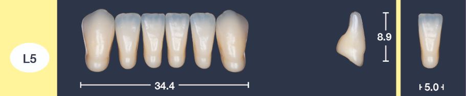 4natur Tandenset onder BL3-L5
