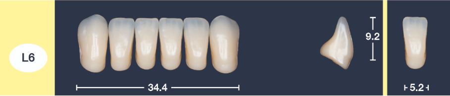 4natur Tandenset onder BL3-L6