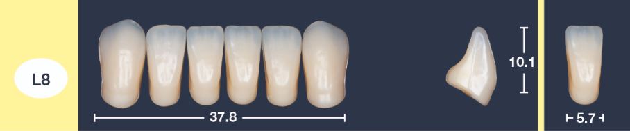 4natur Tandenset BL3-L8