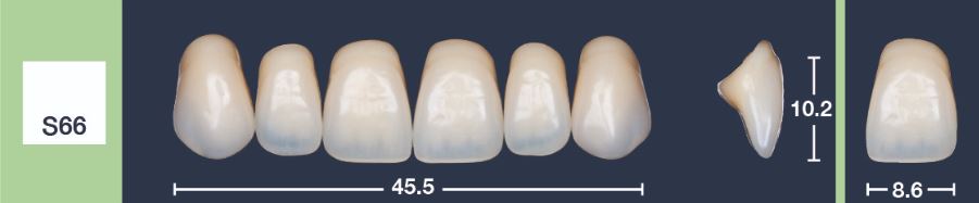 4natur Tandenset BL3-S66