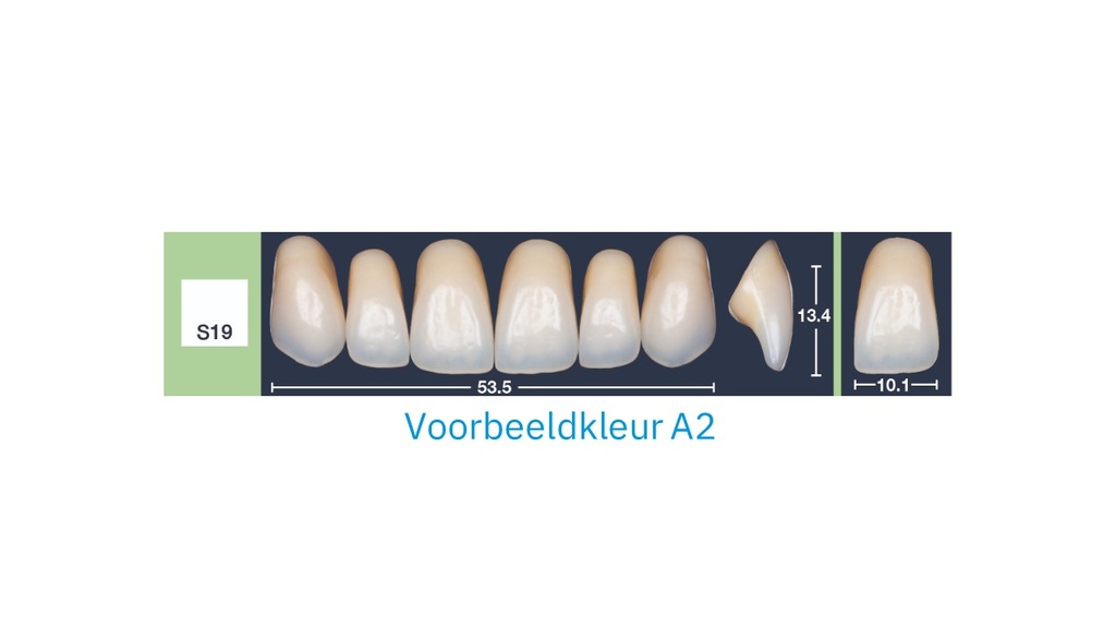 4natur Tandenset boven D2-S19