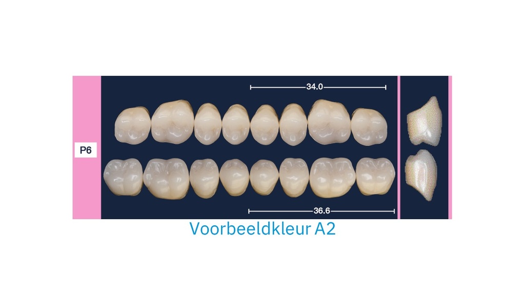 4natur Kiezenset D3-P6+