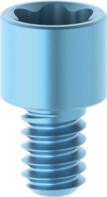 Prosthetic screw angulated channel conical abutment