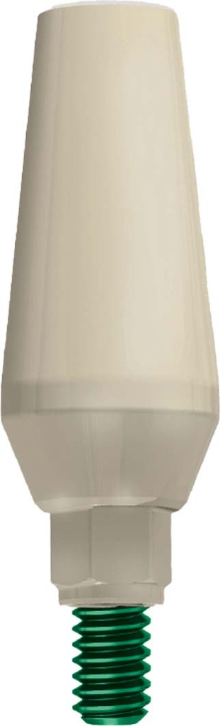 GP Abutment Engaging Peek Ø 5.0 JDEvolution Plus