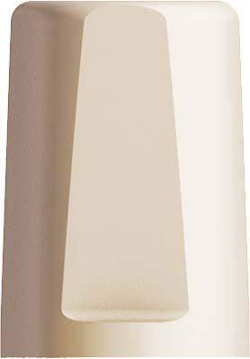 Plastic coping immediate temporary abutment